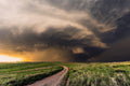 Field Storm