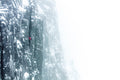 Climbing 10