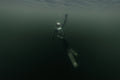 Water 10