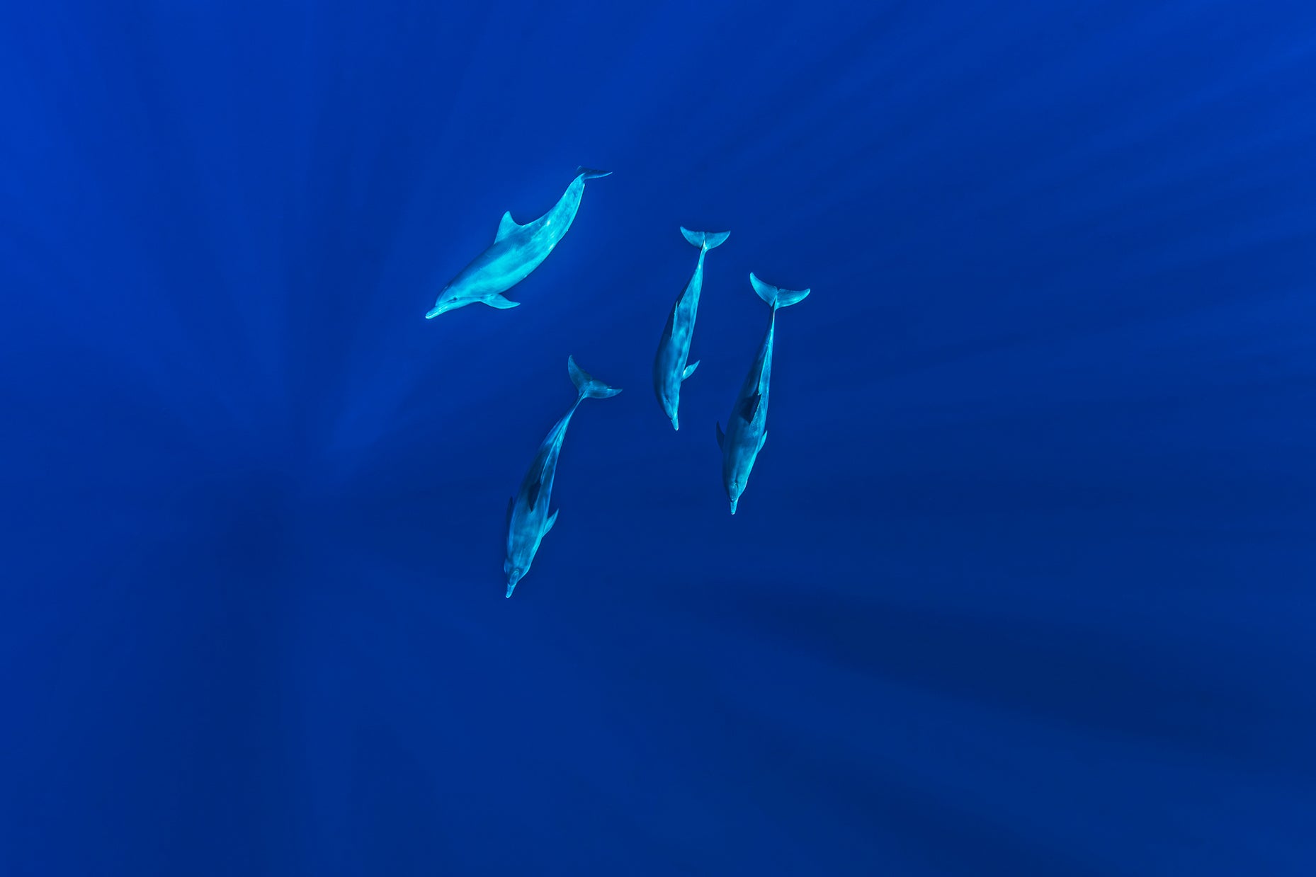 Water 11