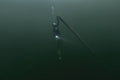 Water 12