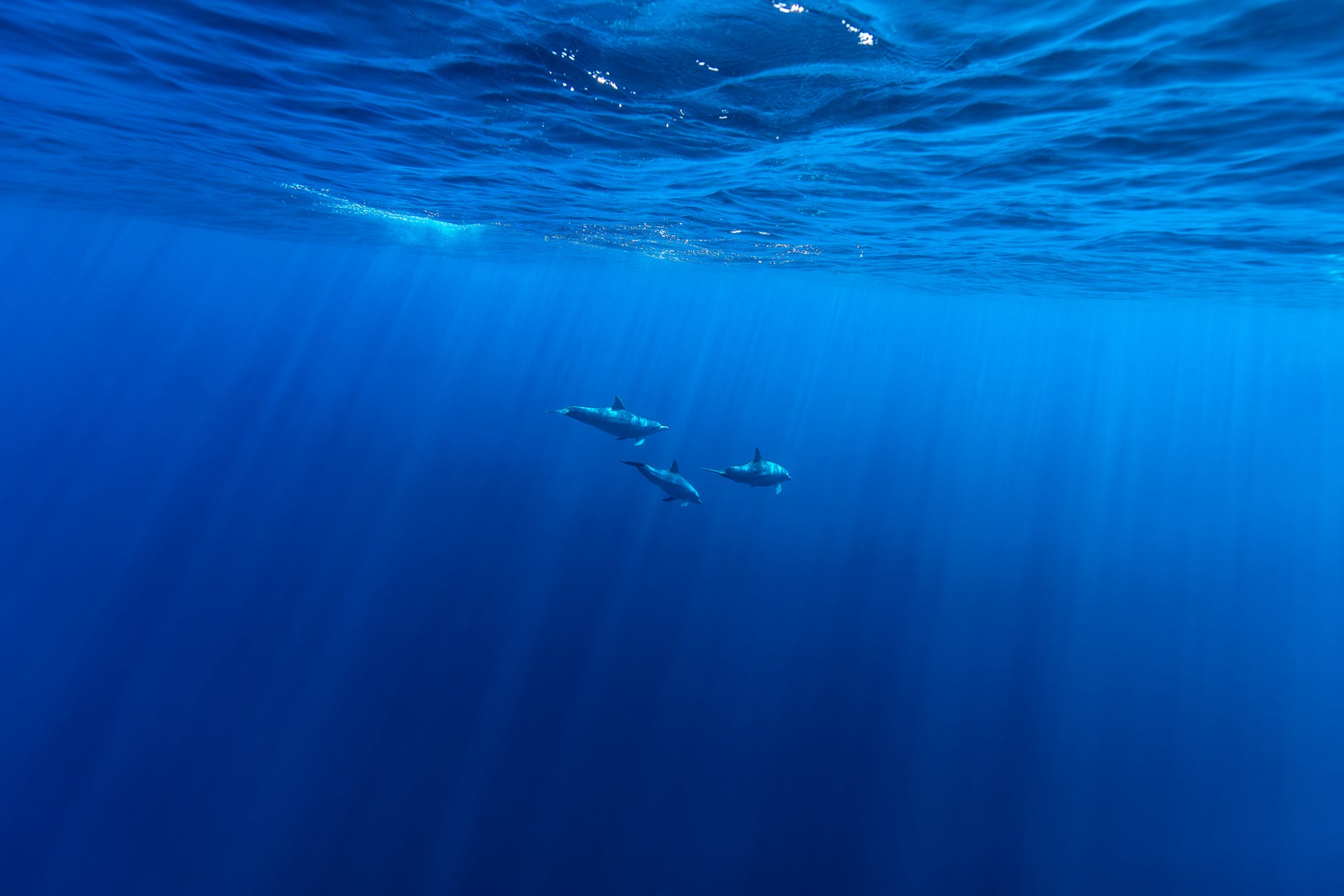 Water 13