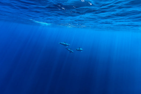 Water 13