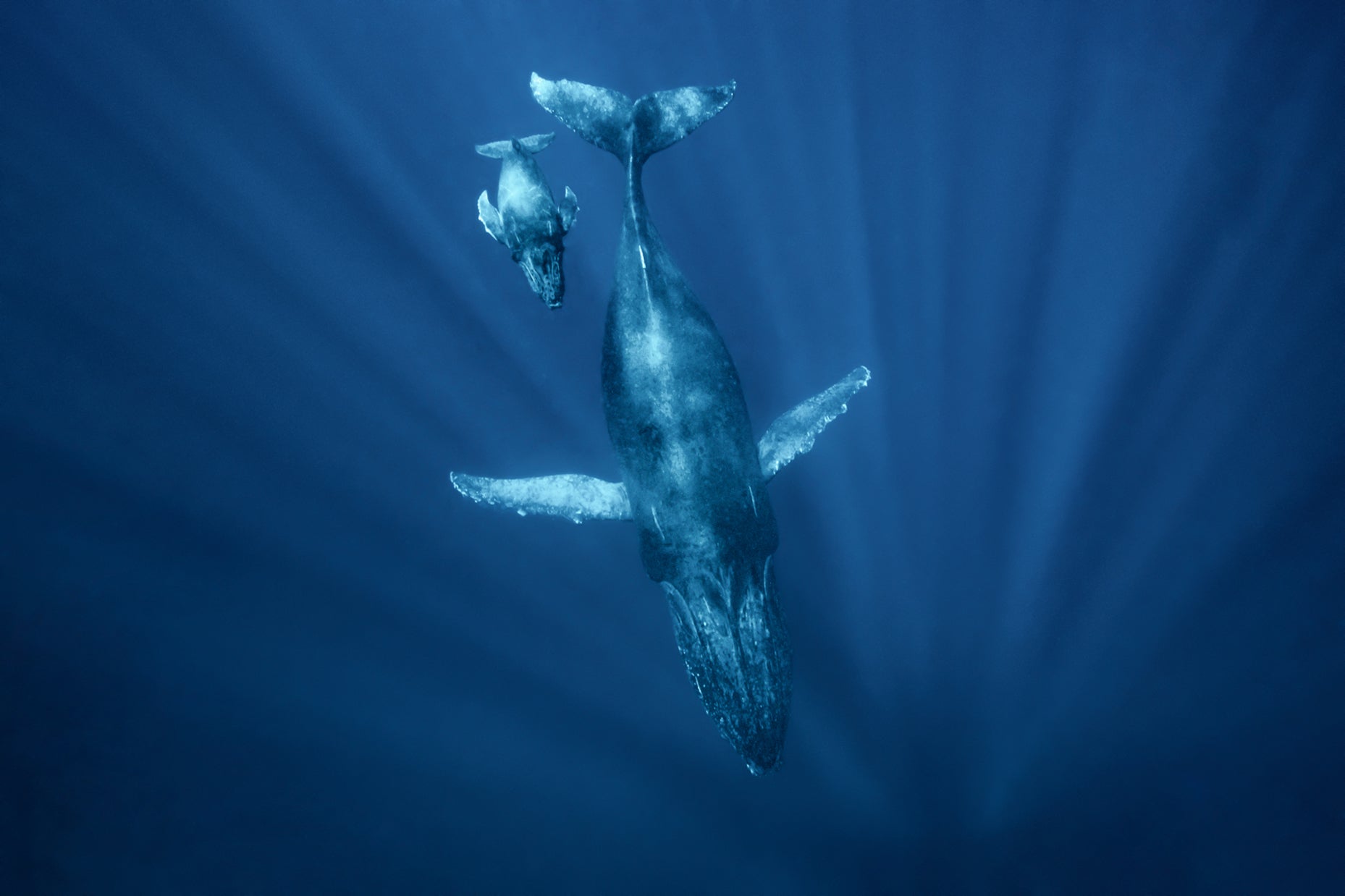 Water 15