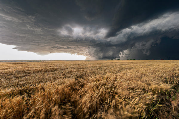 Storms 18