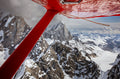 plane wing