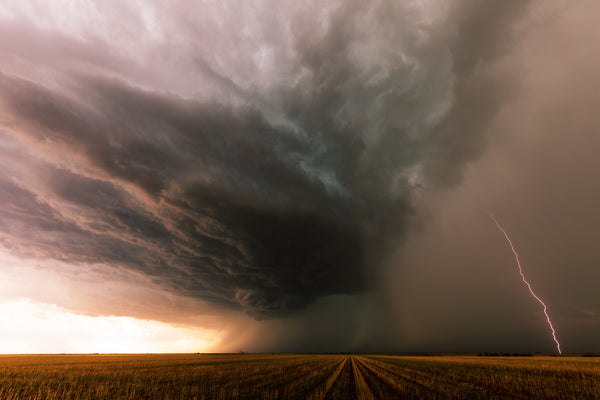 Storms 8